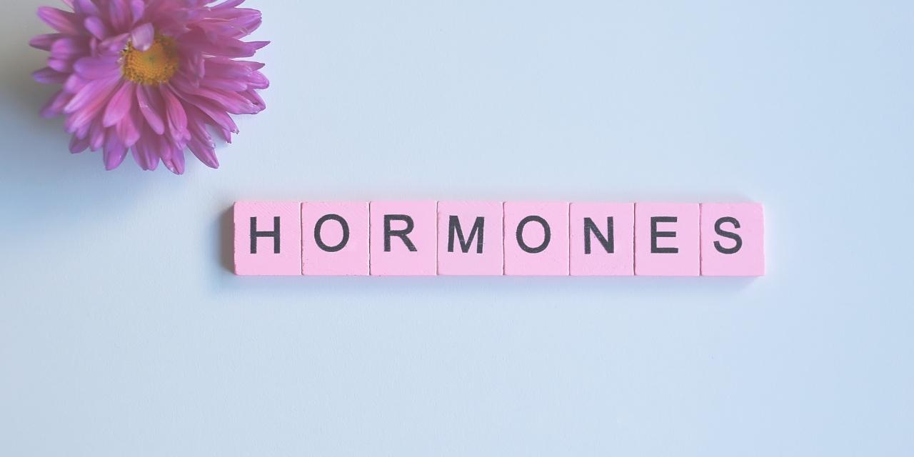 Hormones féminines : tout savoir sur le cycle menstruel