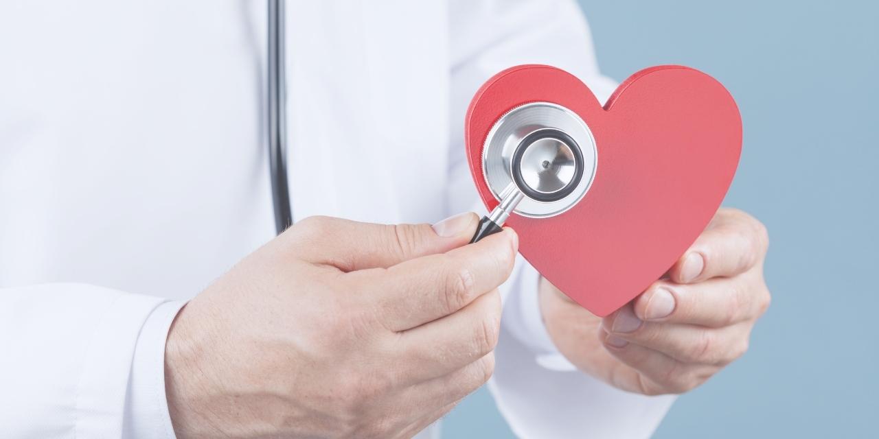 Maladies cardiovasculaires - Guide complet | Barnabe.io