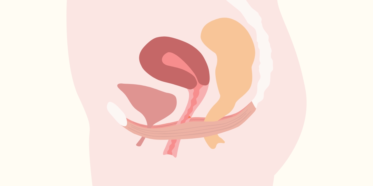 Qu’est-ce que le périnée : définition et rééducation